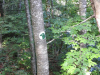 dscn0622